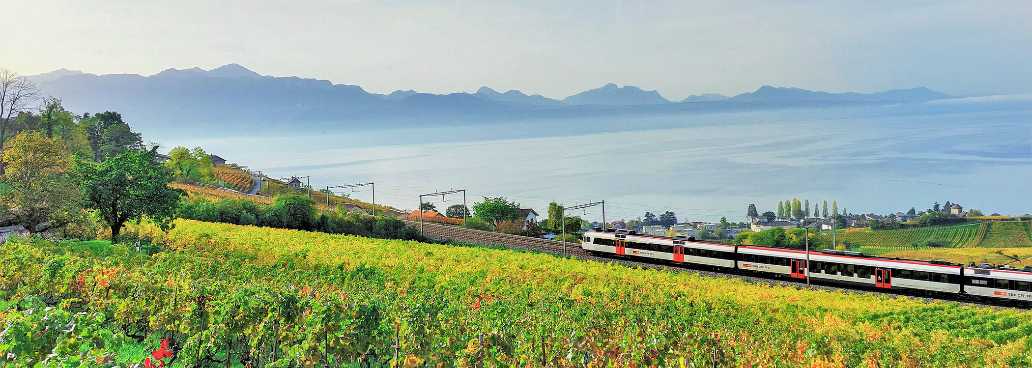 Schweizer SBB Zug fährt durch die Landschaft an einem See vorbei